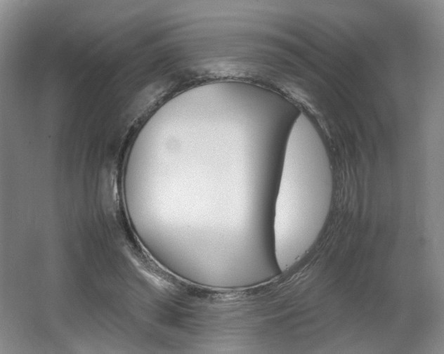 X0000062130398200512090956