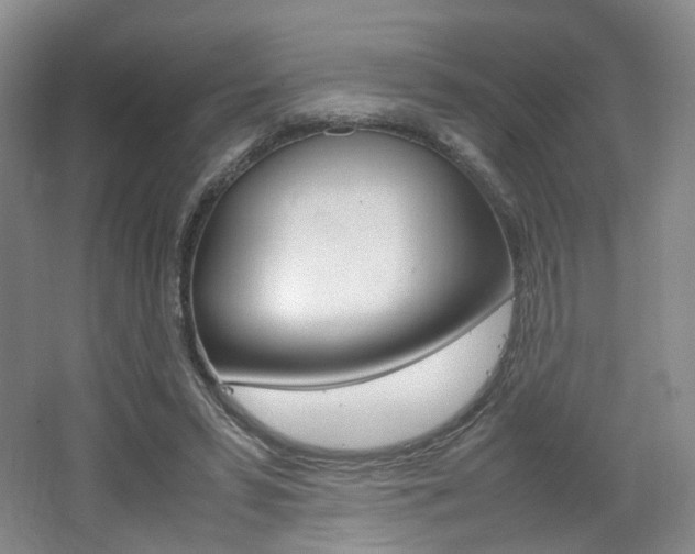 X0000062130399200512090956