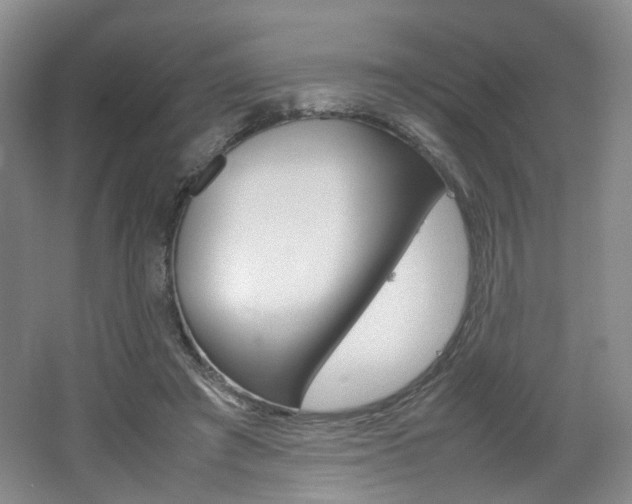 X0000062130401200512090956