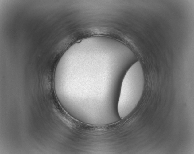 X0000062130402200512090956