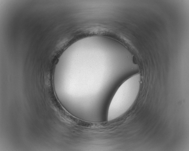 X0000062130403200512090956