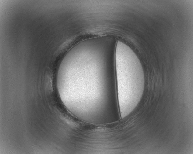 X0000062130404200512090956