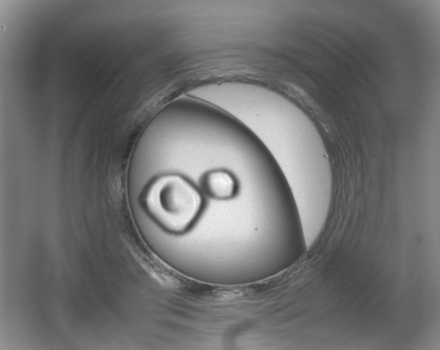 X0000062130405200512090956