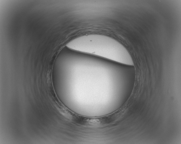 X0000062130409200512090956