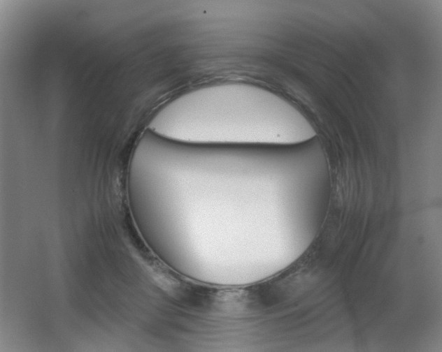 X0000062130410200512090956