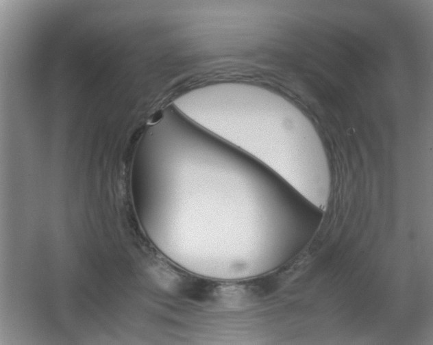 X0000062130413200512090956