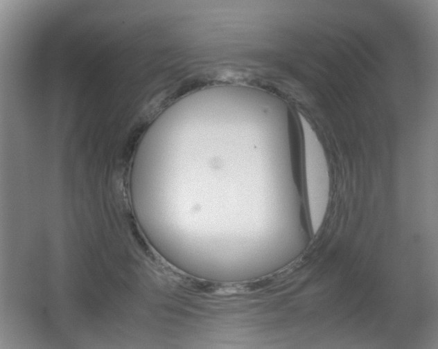 X0000062130415200512090956