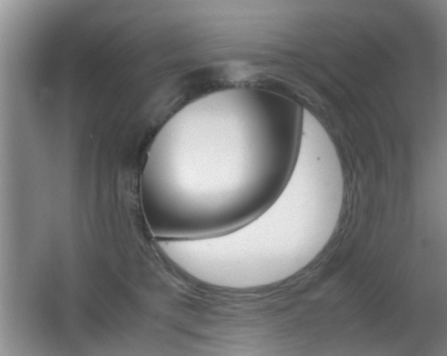 X0000062130421200512090956