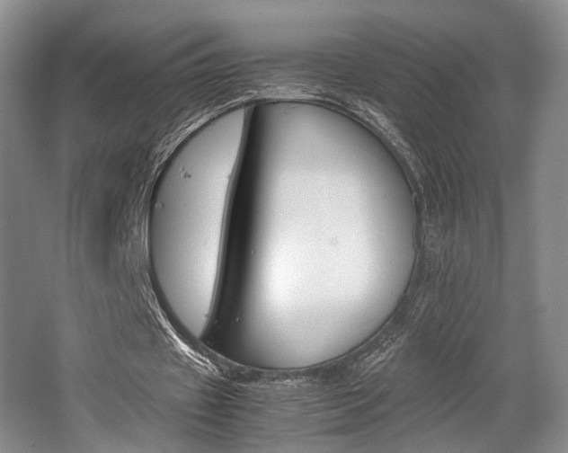 X0000062130433200512090955