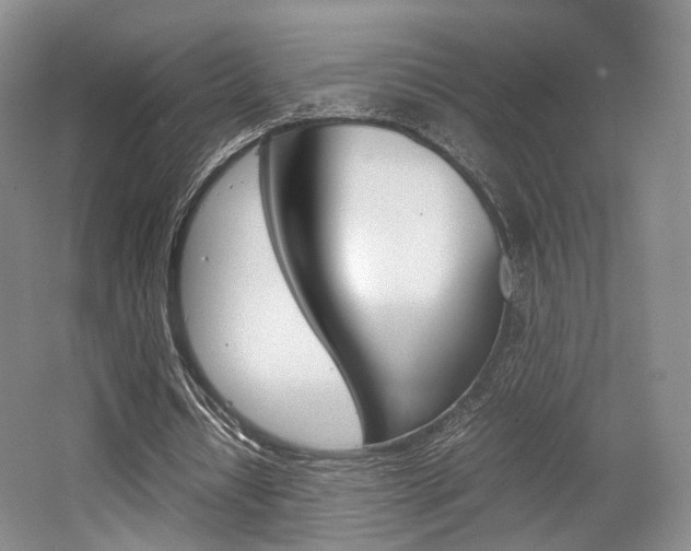 X0000062130434200512090955
