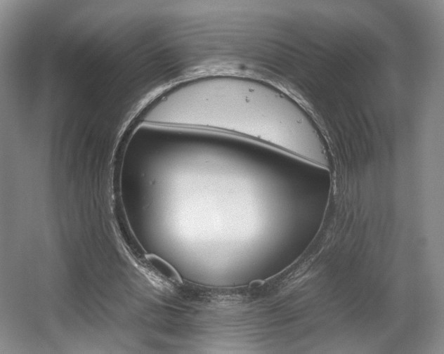 X0000062130438200512090955