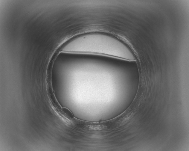 X0000062130439200512090955