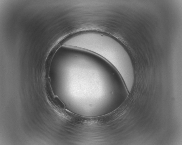 X0000062130440200512090955