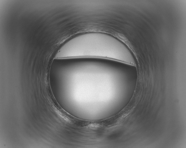 X0000062130441200512090955