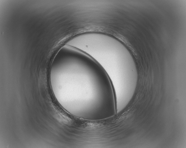 X0000062130442200512090955