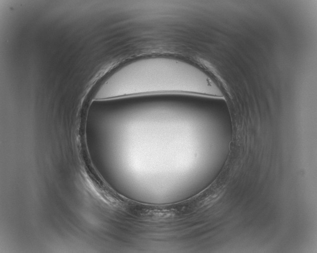 X0000062130443200512090955