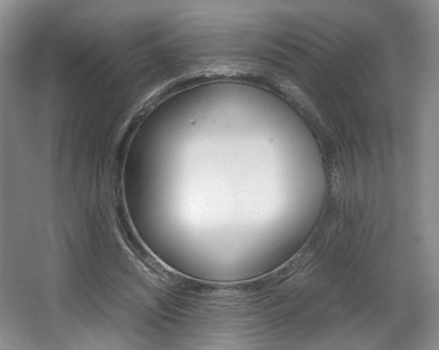X0000062130444200512090955