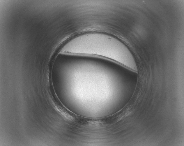 X0000062130446200512090955