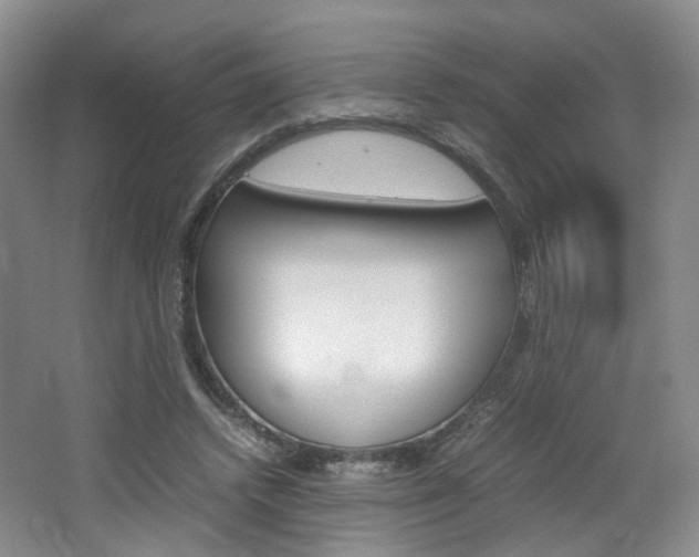 X0000062130448200512090955