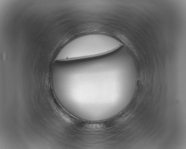 X0000062130449200512090955