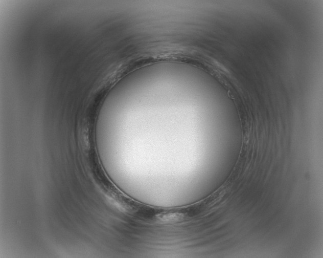 X0000062130452200512090955