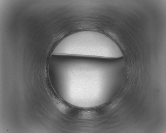 X0000062130453200512090955