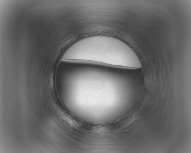 X0000062130454200512090955