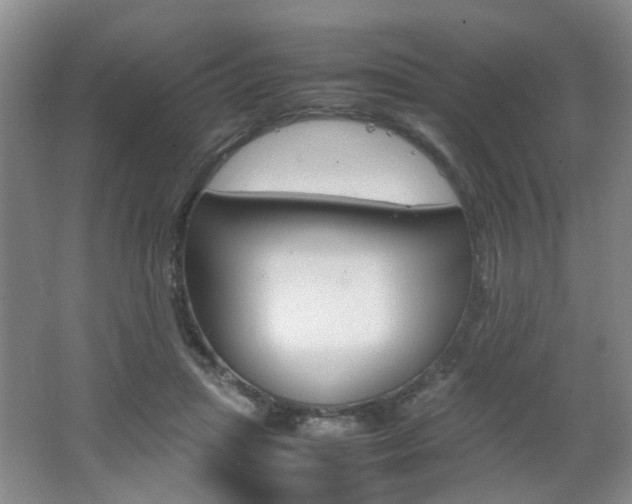 X0000062130455200512090955