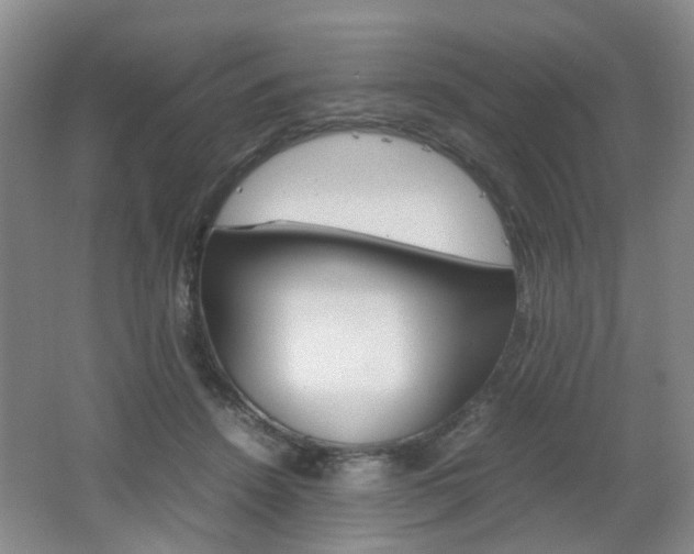 X0000062130456200512090955