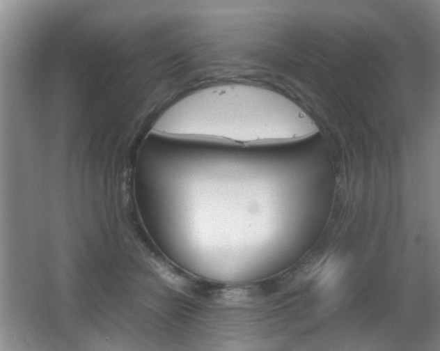 X0000062130462200512090955
