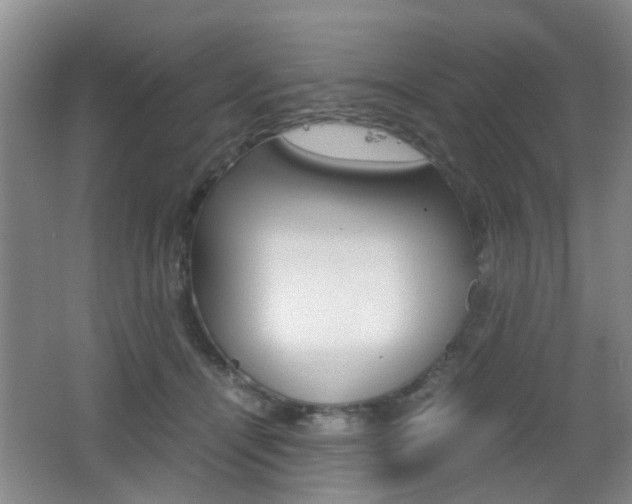 X0000062130464200512090955