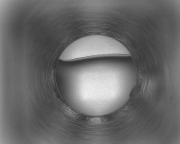 X0000062130473200512090955