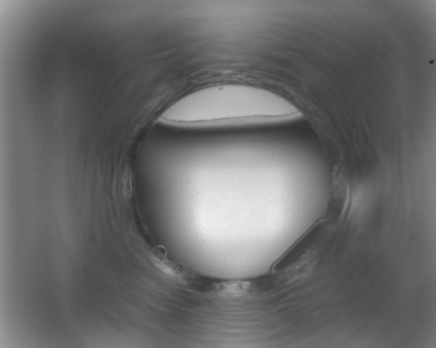 X0000062130474200512090955