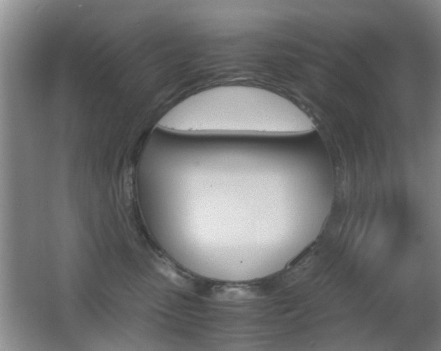 X0000062130475200512090955