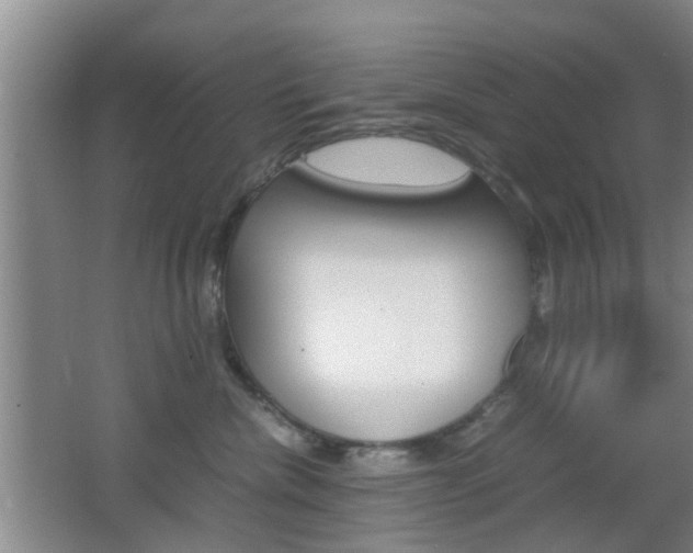 X0000062130476200512090955