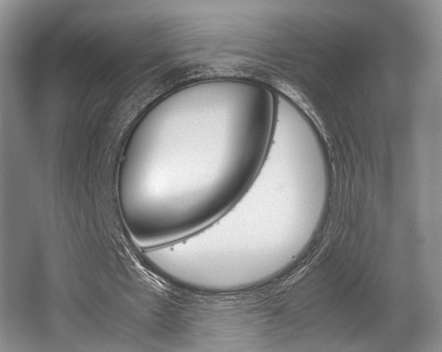 X0000062130481200512090955