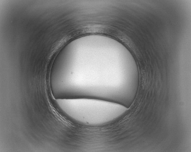 X0000062130482200512090955