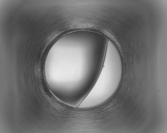X0000062130483200512090955