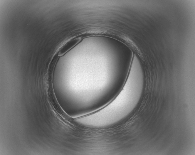 X0000062130484200512090955