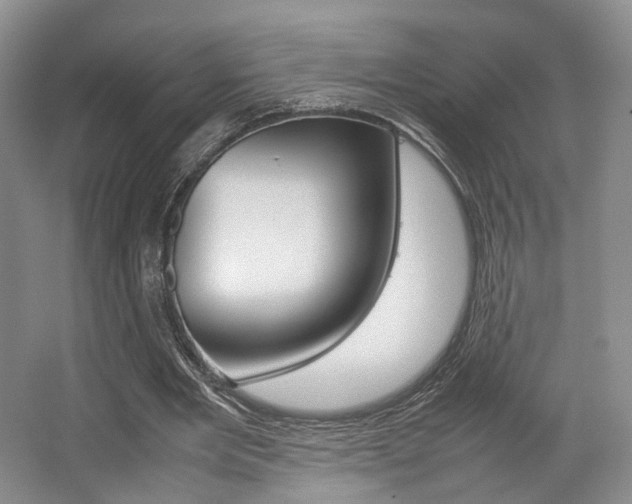 X0000062130485200512090955