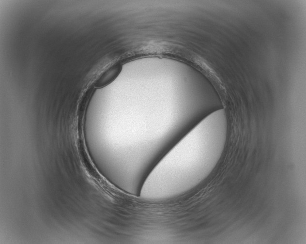 X0000062130486200512090954