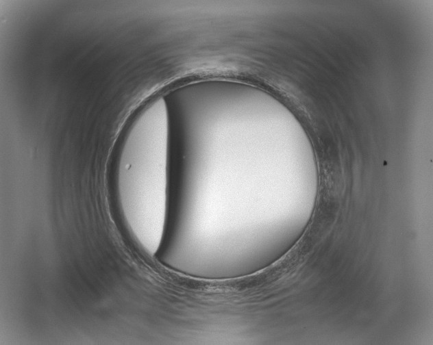 X0000062130487200512090954