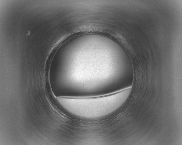 X0000062130488200512090954