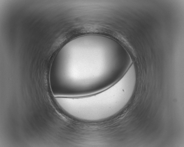 X0000062130489200512090954