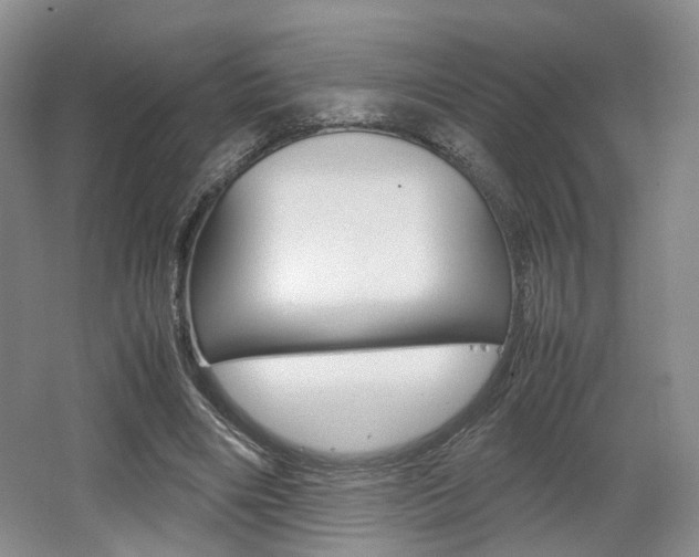 X0000062130490200512090954
