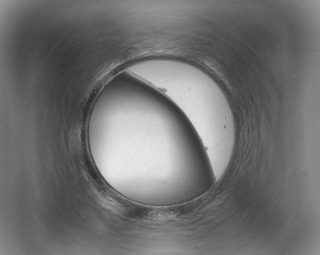 X0000062130491200512090954