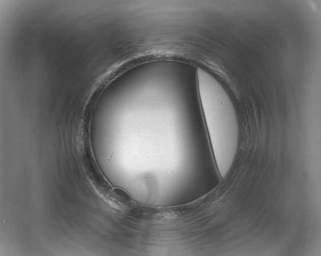 X0000062130492200512090954