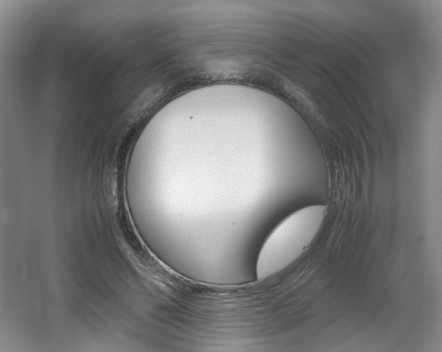 X0000062130494200512090954
