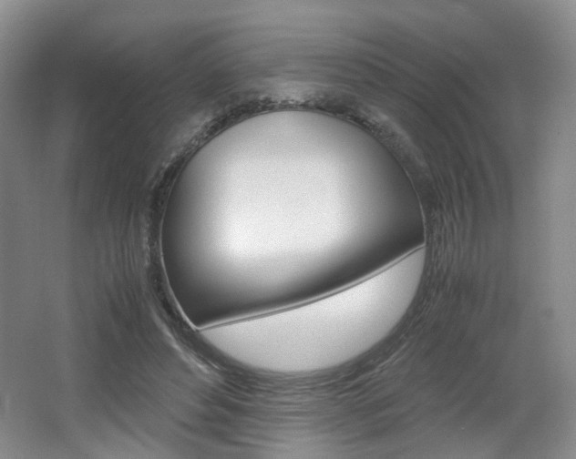 X0000062130496200512090954