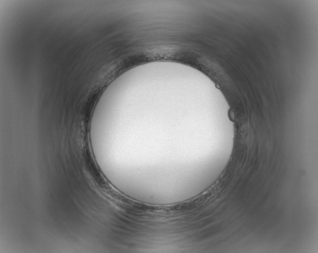 X0000062130498200512090954